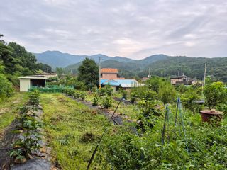 나오리농장님의 기타작물 · 영농일지 작성글 사진