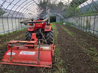 윤자용11대임후회장님의 배추 · 영농일지 작성글 사진