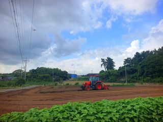 오이8898황산면님의 배추 · 영농일지 작성글 사진