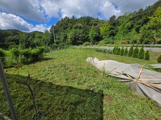 강호지인님의 기타작물 · 영농일지 작성글 사진