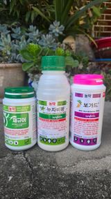 팜모닝 감·영농일지 게시글 이미지