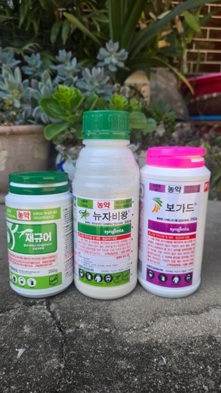 김재찬님의 감 · 영농일지 작성글 사진