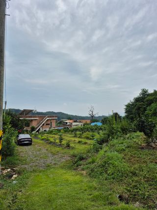 나오리농장님의 기타작물 · 영농일지 작성글 사진