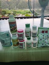 팜모닝 고추·영농일지 게시글 이미지