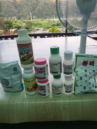 이상욱님의 고추 · 영농일지 작성글 사진