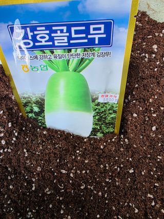 허인녕님의 기타작물 · 영농일지 작성글 사진