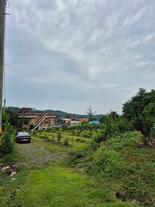 나오리농장님의 기타작물 · 영농일지 작성글 사진