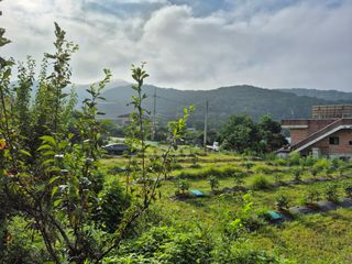 나오리농장님의 기타작물 · 영농일지 작성글 사진