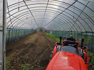 윤자용11대임후회장님의 배추 · 영농일지 작성글 사진