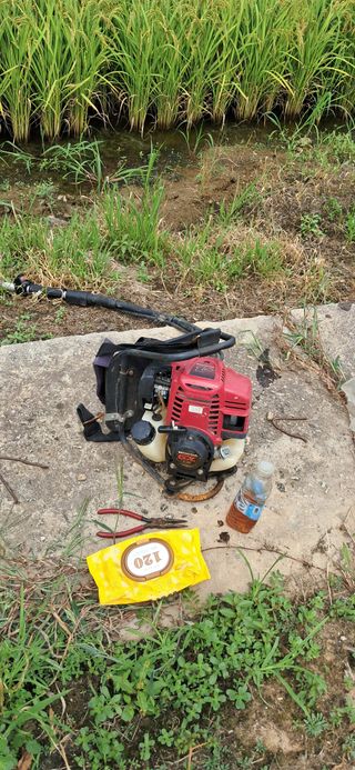 이복길님의 벼 · 영농일지 작성글 사진