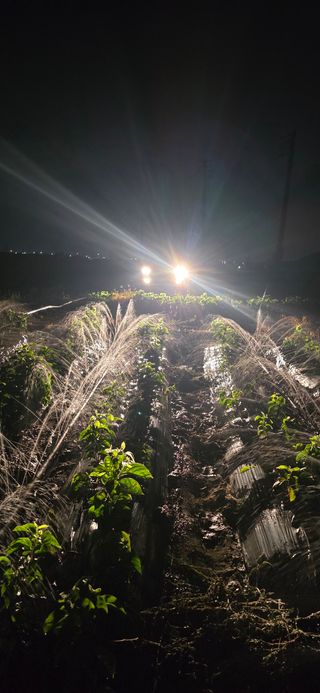 장동휘님의 기타작물 · 영농일지 작성글 사진