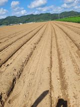 팜모닝 기타작물·영농일지 게시글 이미지