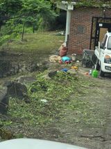 팜모닝 기타작물·영농일지 게시글 이미지