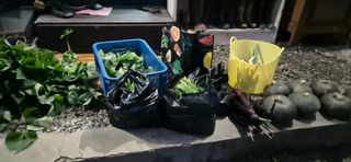 매실21434님의 기타작물 · 영농일지 작성글 사진