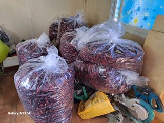 김청수 님의 고추 · 영농일지 작성글 사진