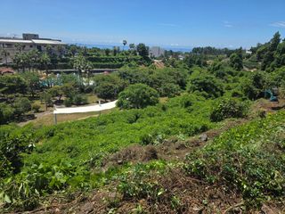 낙엽교목류18394님의 기타작물 · 영농일지 작성글 사진