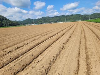김춘성님의 기타작물 · 영농일지 작성글 사진