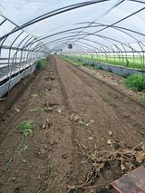 팜모닝 기타작물·영농일지 게시글 이미지