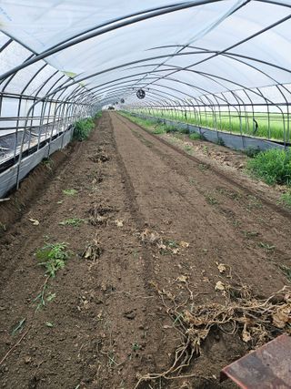 김동식님의 기타작물 · 영농일지 작성글 사진