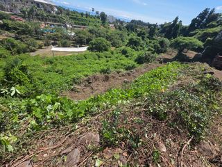 낙엽교목류18394님의 기타작물 · 영농일지 작성글 사진