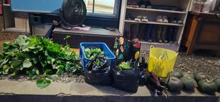 매실21434님의 기타작물 · 영농일지 작성글 사진