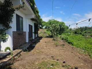 낙엽교목류18394님의 귤 · 영농일지 작성글 사진