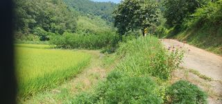 반성식님의 기타작물 · 영농일지 작성글 사진