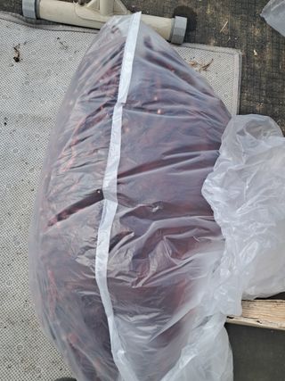 전희분님의 기타작물 · 영농일지 작성글 사진