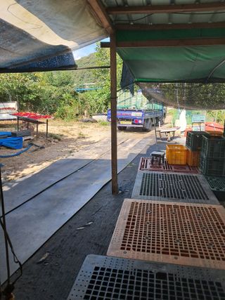 류남열님의 호박 · 영농일지 작성글 사진