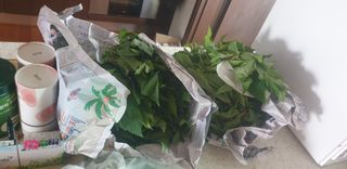 정천복님의 기타작물 · 영농일지 작성글 사진