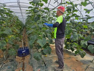 기본에 충실님의 기타작물 · 영농일지 작성글 사진