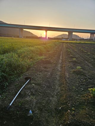 박원봉님의 콩 · 영농일지 작성글 사진