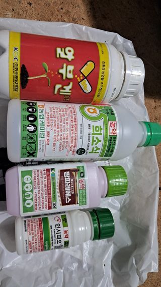 장원팜님의 배 · 영농일지 작성글 사진