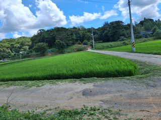 임호수님의 벼 · 영농일지 작성글 사진