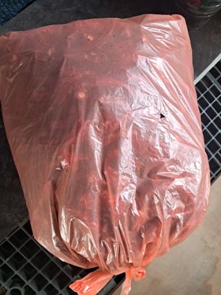 전희분님의 기타작물 · 영농일지 작성글 사진