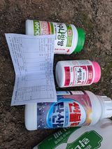 팜모닝 사과·영농일지 게시글 이미지