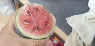 정천복님의 기타작물 · 영농일지 작성글 사진