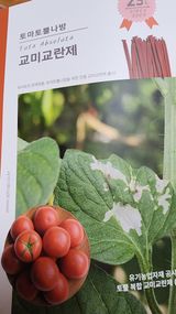 팜모닝 토마토·영농일지 게시글 이미지