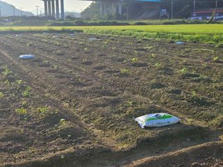 박원봉님의 콩 · 영농일지 작성글 사진