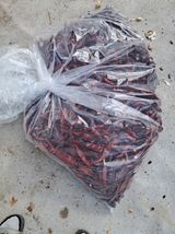 팜모닝 기타작물·영농일지 게시글 이미지