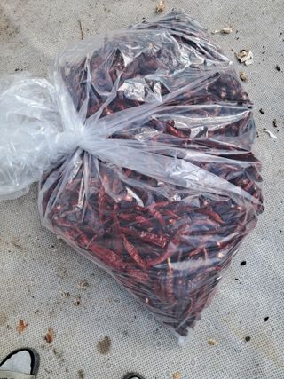 전희분님의 기타작물 · 영농일지 작성글 사진