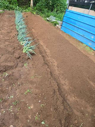 매실21434님의 기타작물 · 영농일지 작성글 사진