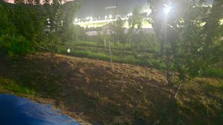 장정규님의 복숭아 · 영농일지 작성글 사진