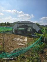 팜모닝 감·영농일지 게시글 이미지