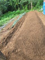 팜모닝 기타작물·영농일지 게시글 이미지