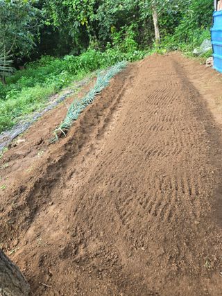 매실21434님의 기타작물 · 영농일지 작성글 사진