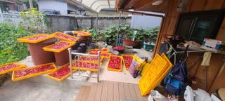 조희경님의 고추 · 영농일지 작성글 사진