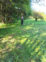 팜모닝 매실·영농일지 게시글 이미지