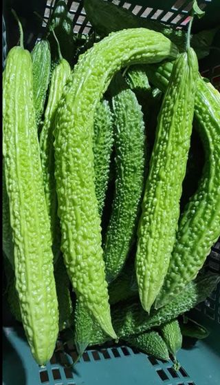 공주유구 구계박만호님의 기타작물 · 영농일지 작성글 사진