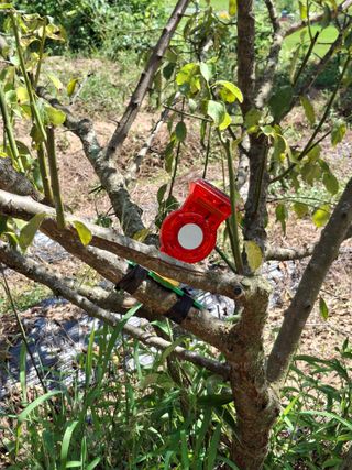 형남영님의 기타작물 · 영농일지 작성글 사진